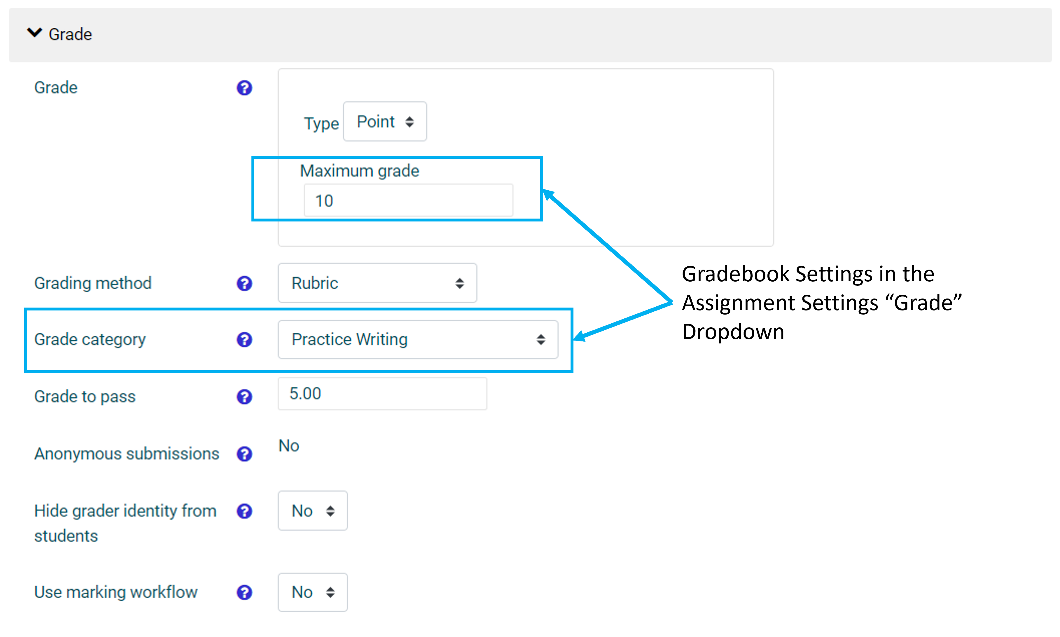 Shows the Grade dropdown options in an Assignment Activity