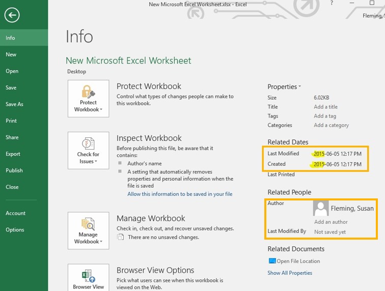 Excel Properties